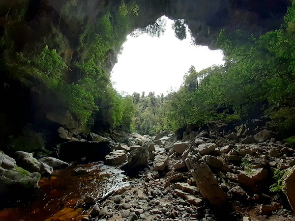 Oparara Basin Arches 4