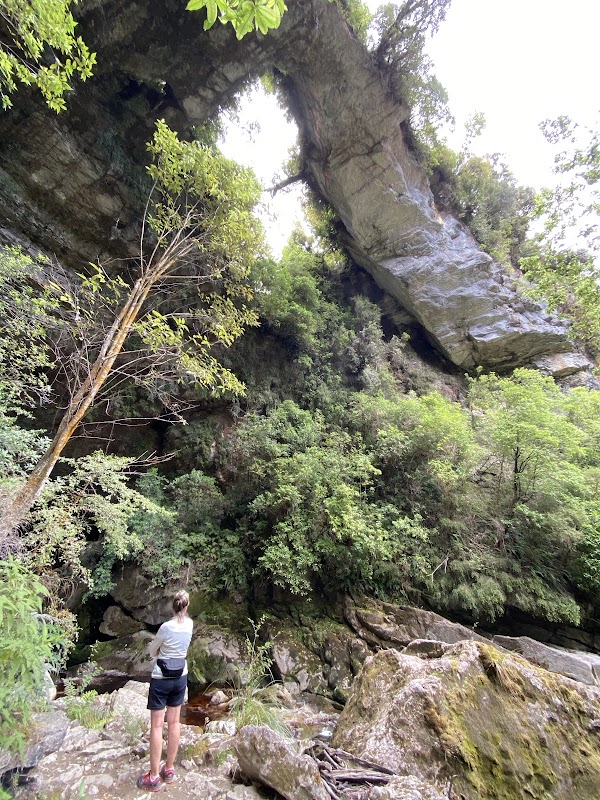 Oparara Basin Arches 3