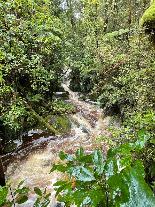 Oparara Basin Arches 2
