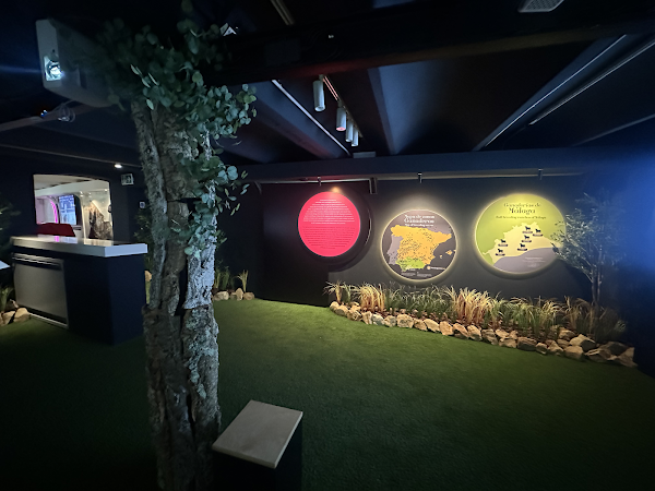 La Malagueta Tour - Museo Taurino de Málaga 2