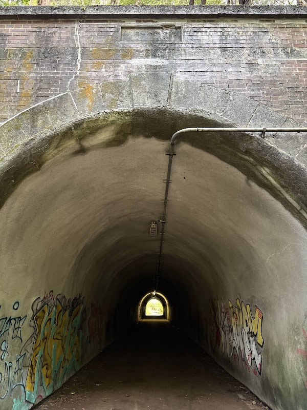Japan 12