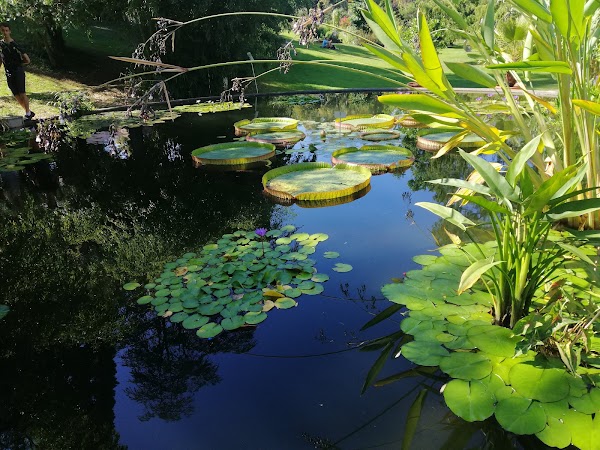 Universität Freiburg Botanical Garden 4
