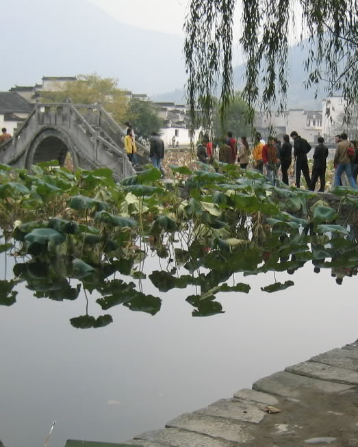 Huangshan District 5