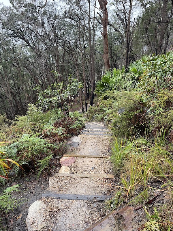 Aboriginal Heritage walk 5