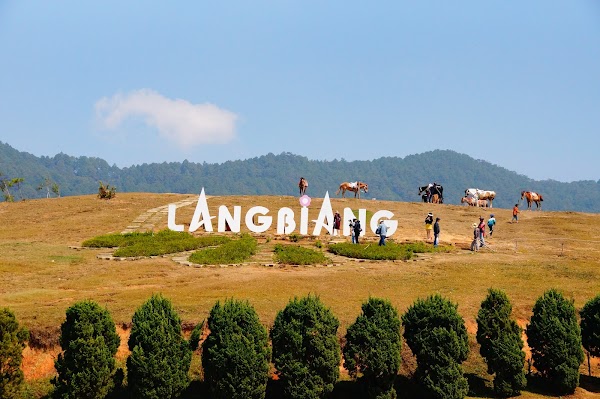 Lang Bian