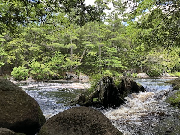 Mill Falls