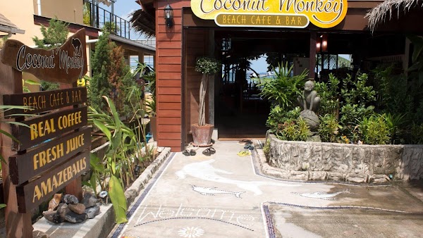 Coconut Monkey 1