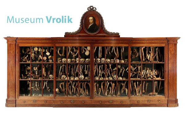 Museum Vrolik 5