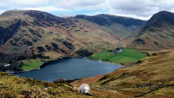 High Stile
