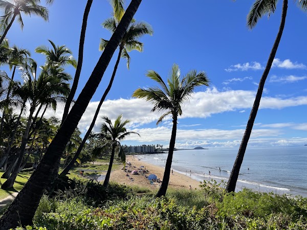 Charley Young Beach
