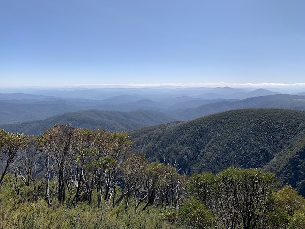 Mount Bogong