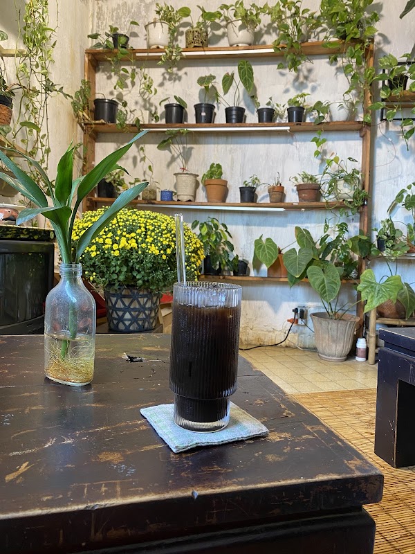 Em có cafe 4