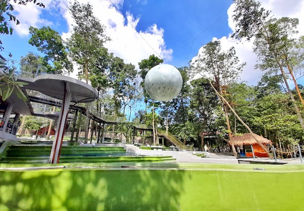 HeHa Forest 1