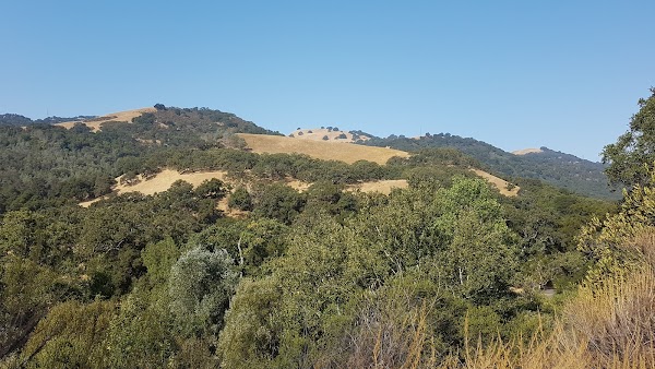 Bay Area Hikes 5