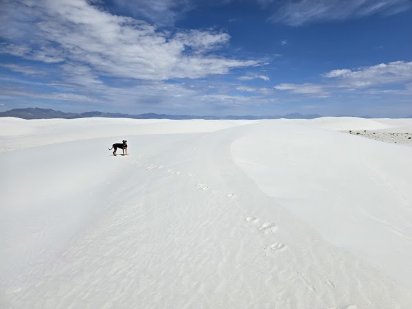White Sands National Park 4