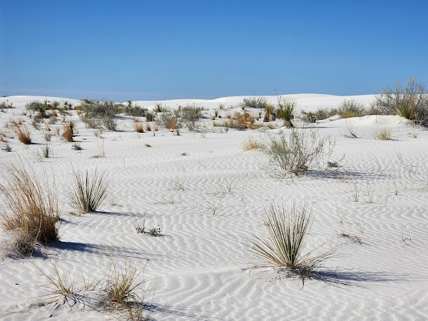 White Sands National Park 3