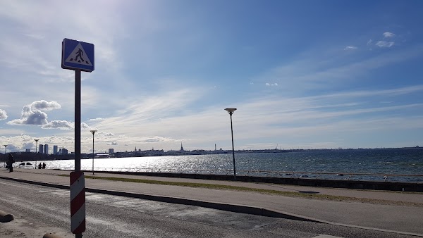 Pirita tee