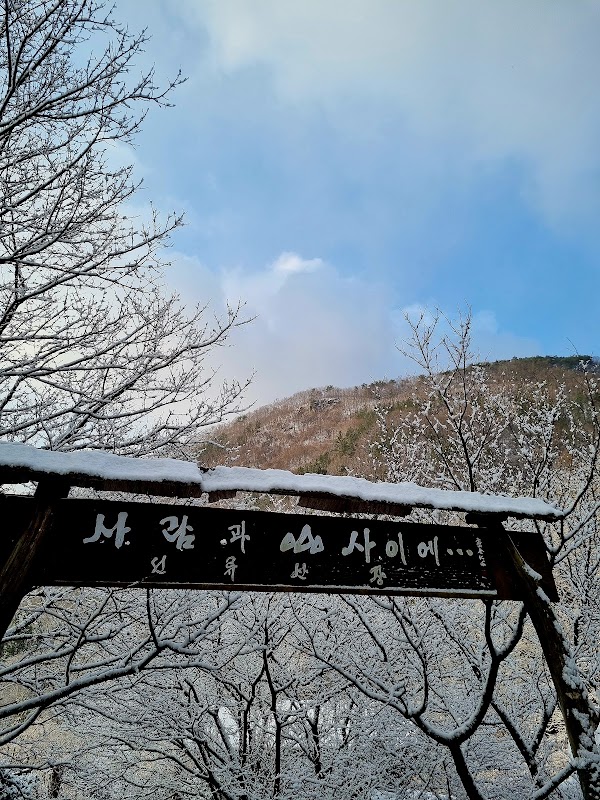 선류산장 4