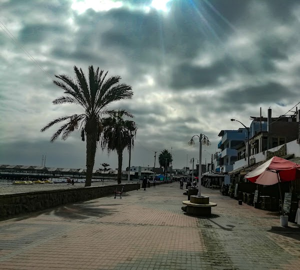 Paracas 2