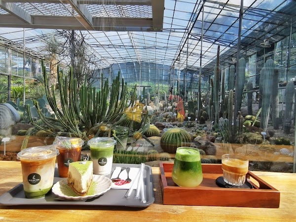 Botanist activity space and more