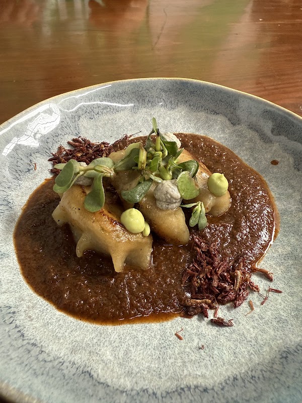 Ocote cocina 4