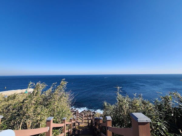 죽도산