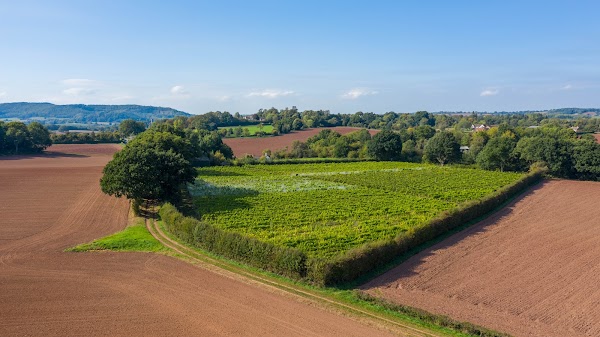 Astley Vineyard