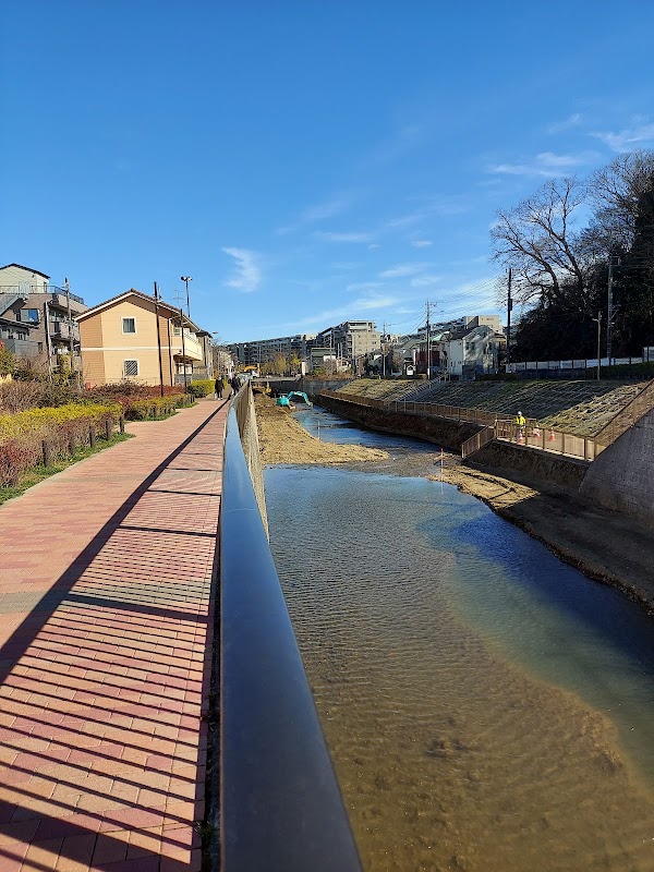 Shakujii River 2