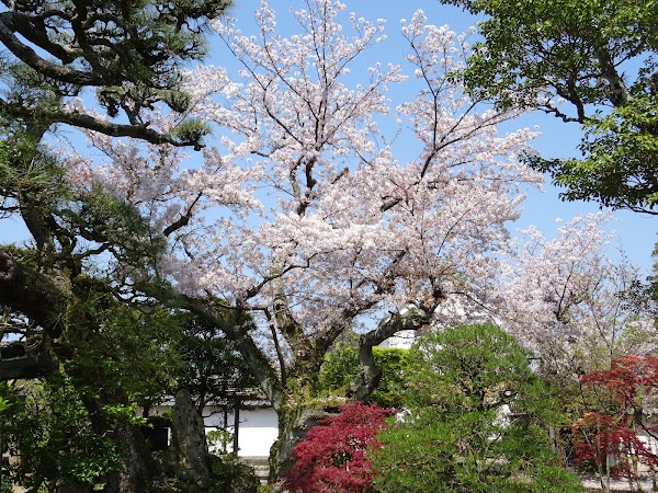 Kikuya Family Residence