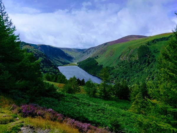 Wicklow Mountains National Park 4