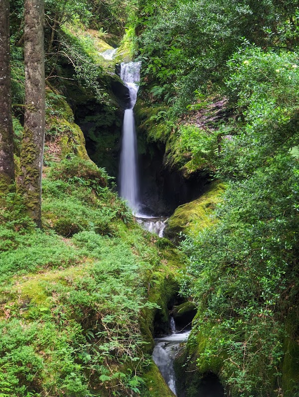 Wicklow Mountains National Park 2