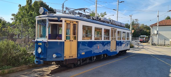 Opicina