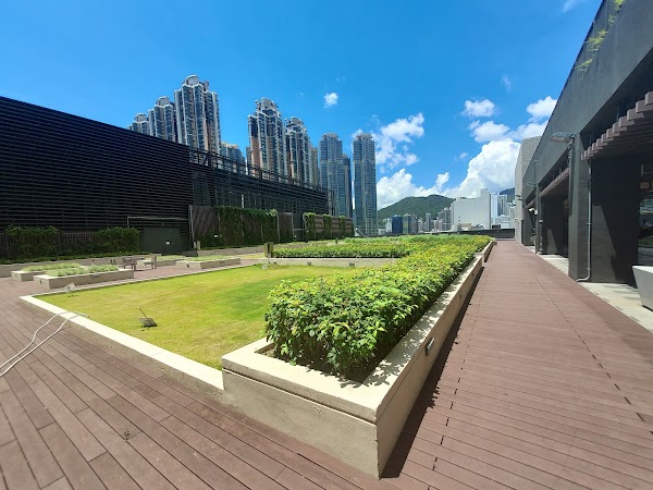 Rooftop Garden 4