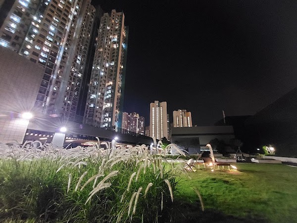 Rooftop Garden 3