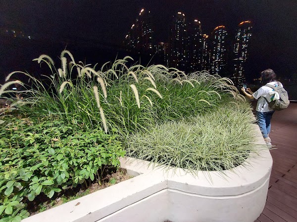 Rooftop Garden 2