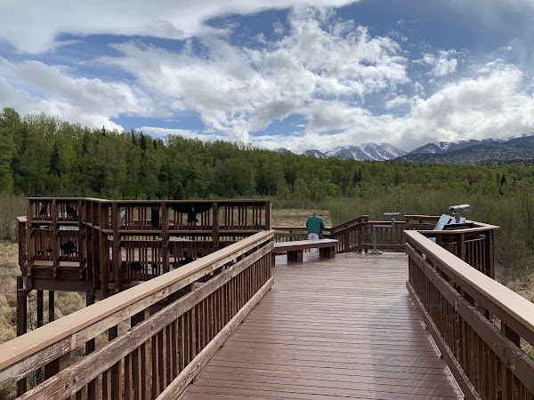 Potter Marsh Wildlife Viewing Boardwalk 5