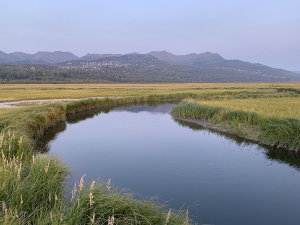Potter Marsh Wildlife Viewing Boardwalk 4