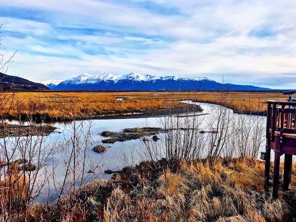 Potter Marsh Wildlife Viewing Boardwalk 3