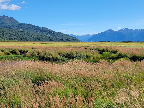 Potter Marsh Wildlife Viewing Boardwalk 2