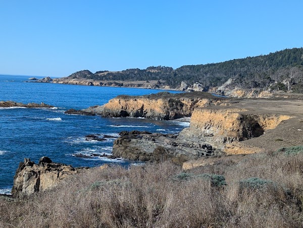 Salt Point State Park 1