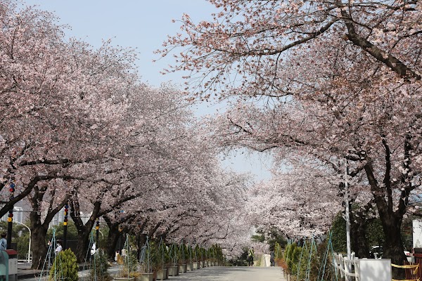 Let's Run Park Seoul