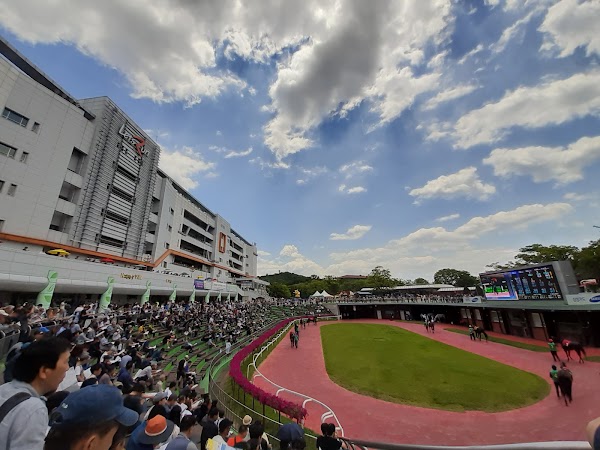 Let's Run Park Seoul 3
