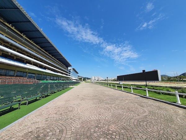 Let's Run Park Seoul 2