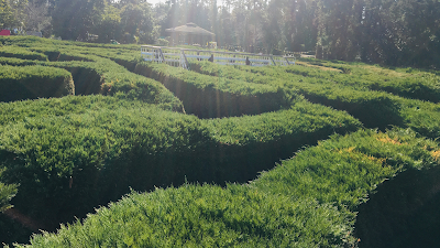 Gimnyeong Maze Park