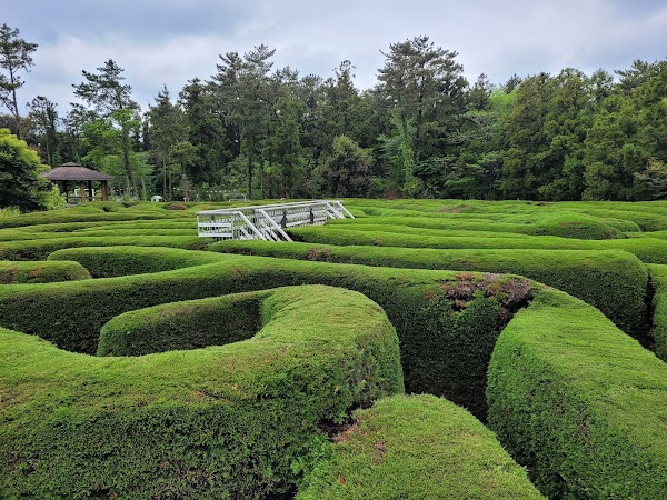 Gimnyeong Maze Park 4