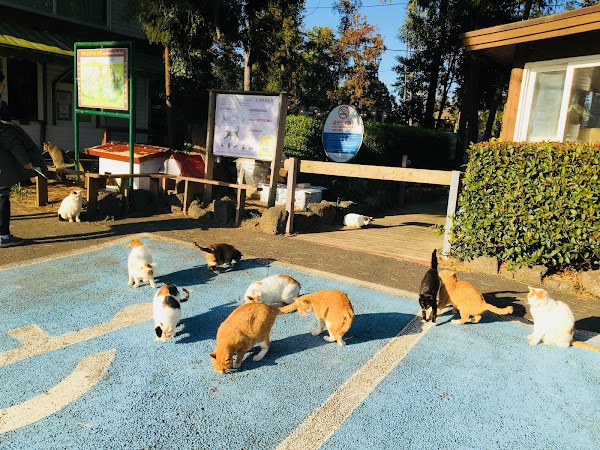 Gimnyeong Maze Park 2