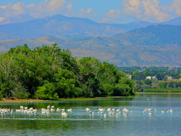 Fossil Creek Reservoir Natural Area 1