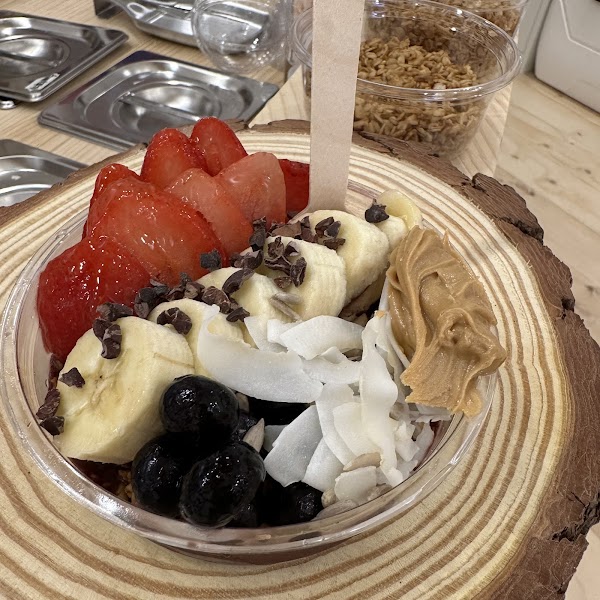 HOLLY ACAI 4