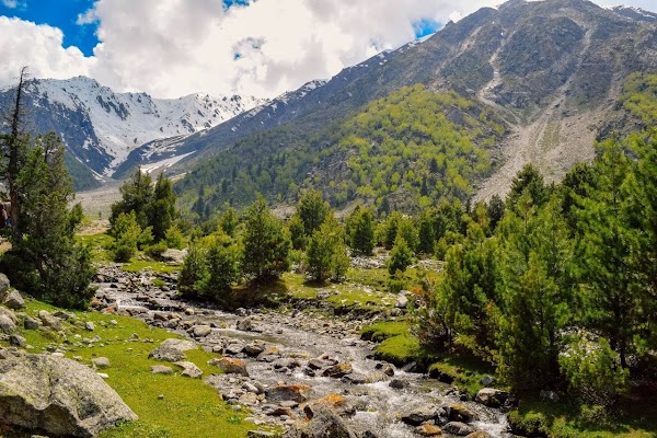 Nanga Parbat Base Camp Trail 4