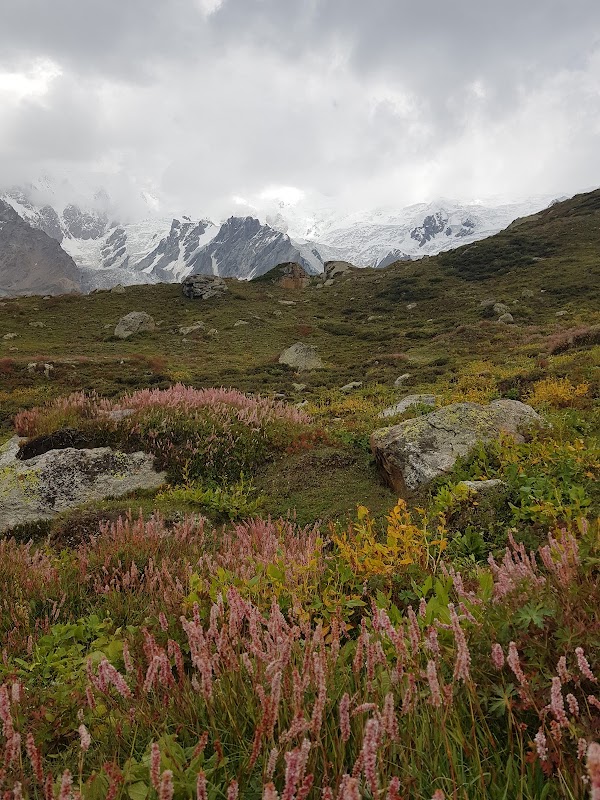 Nanga Parbat Base Camp Trail 2